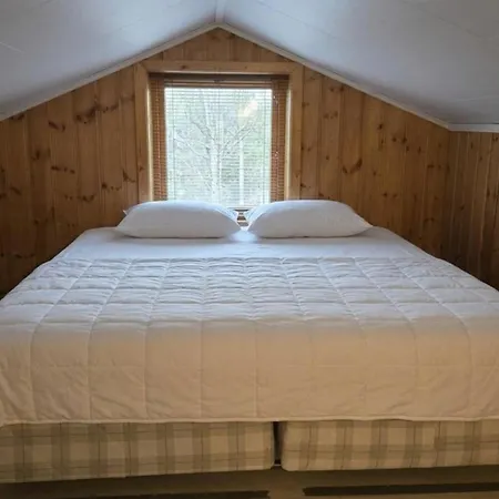 Grandma Guest House, Near Ski, Biking, River Summer Camp Rena